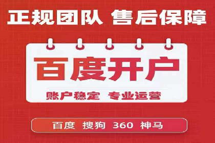 某某sem代运营公司：精准投放的背后策略