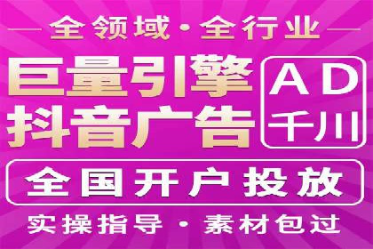 竞价托管服务对比：不同平台的优劣分析